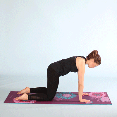 High plank