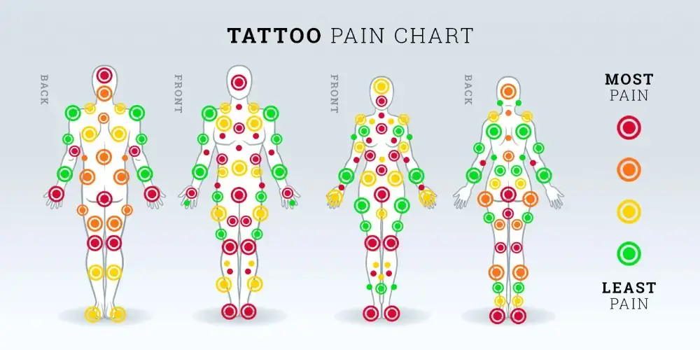 Tattoo Pain Chart